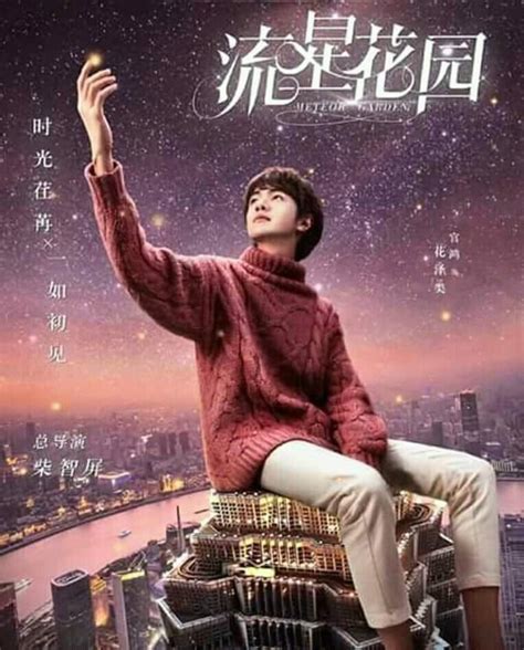 meteor garden mbti|Huaze Lei, Meteor Garden (2018) .